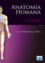 Anatomia Humana dos Órgãos